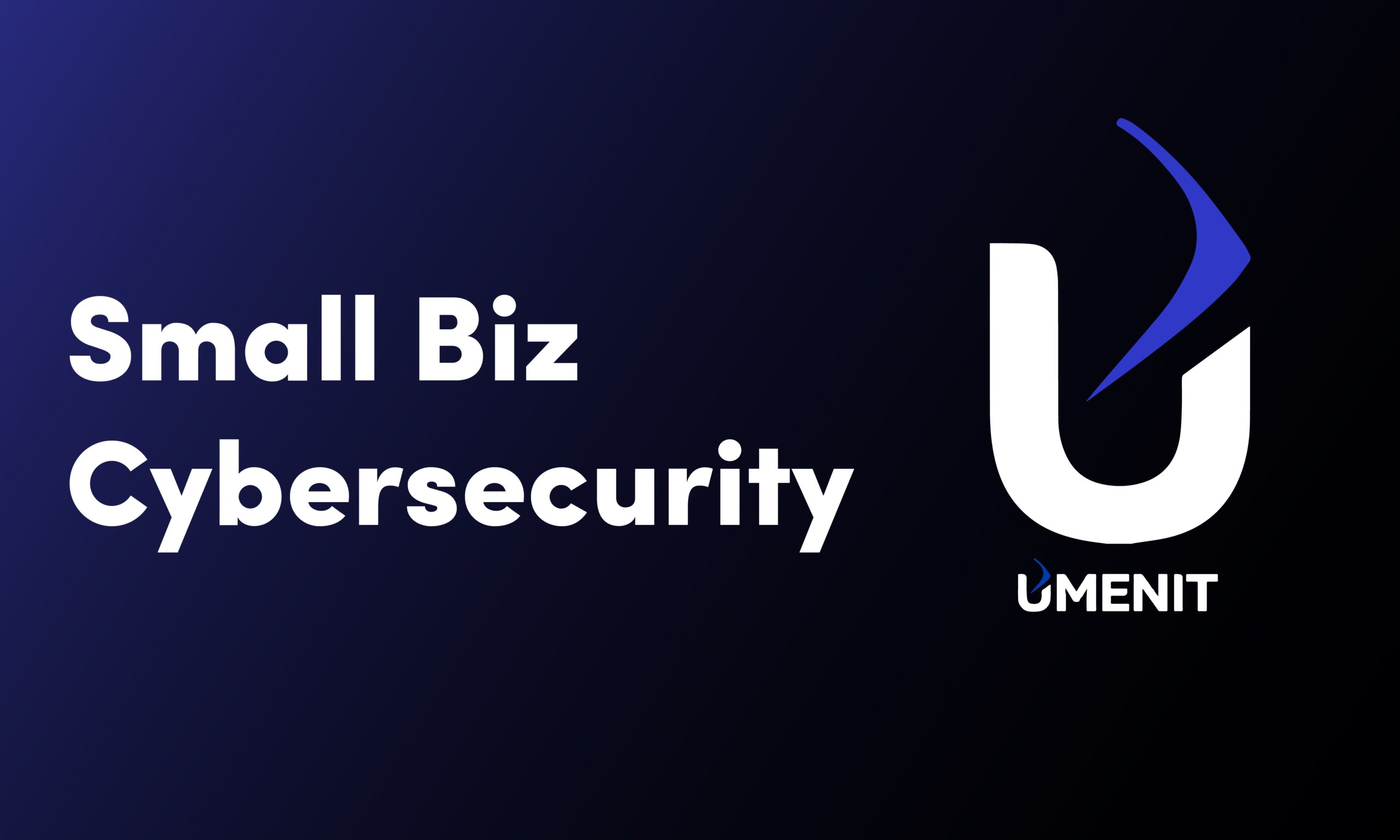 Small Biz Cybersecurity-03
